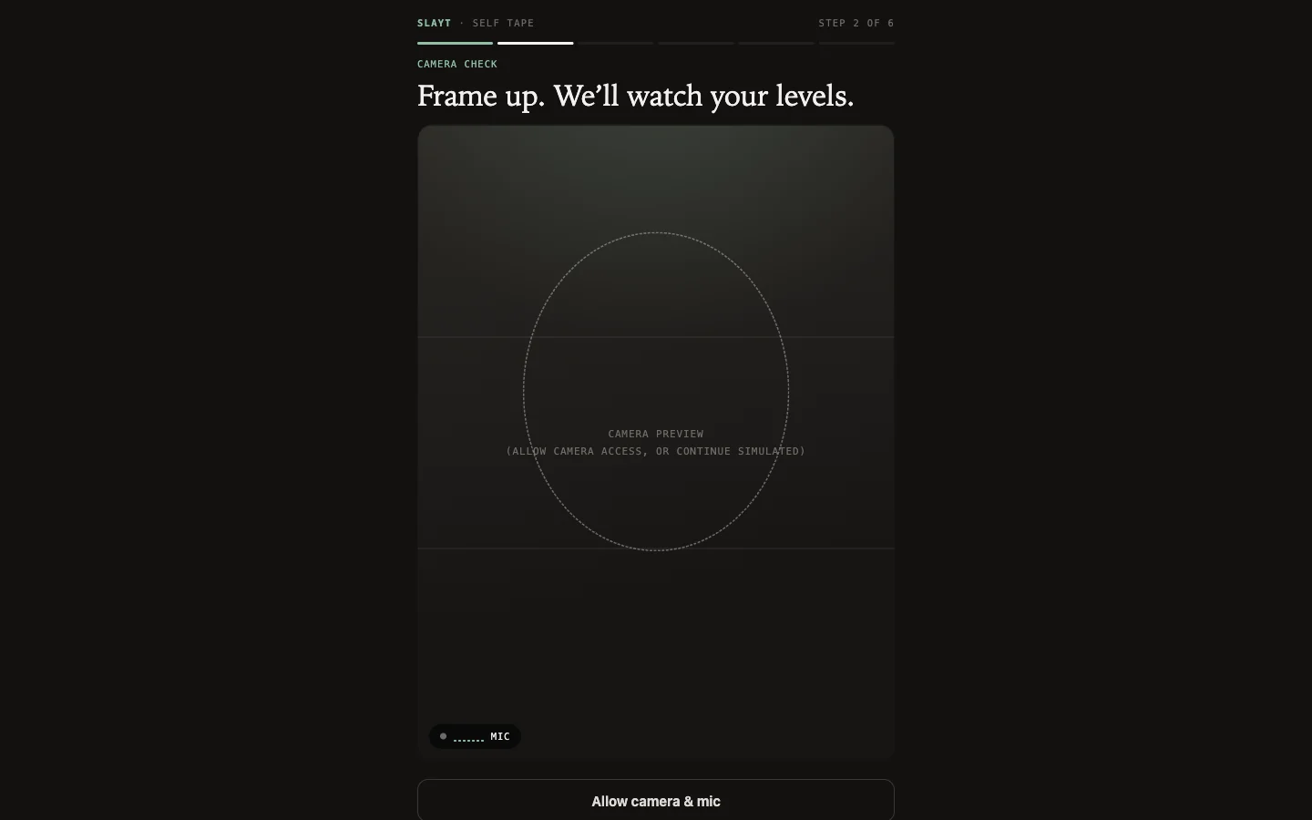 Camera check with framing oval and live mic meter